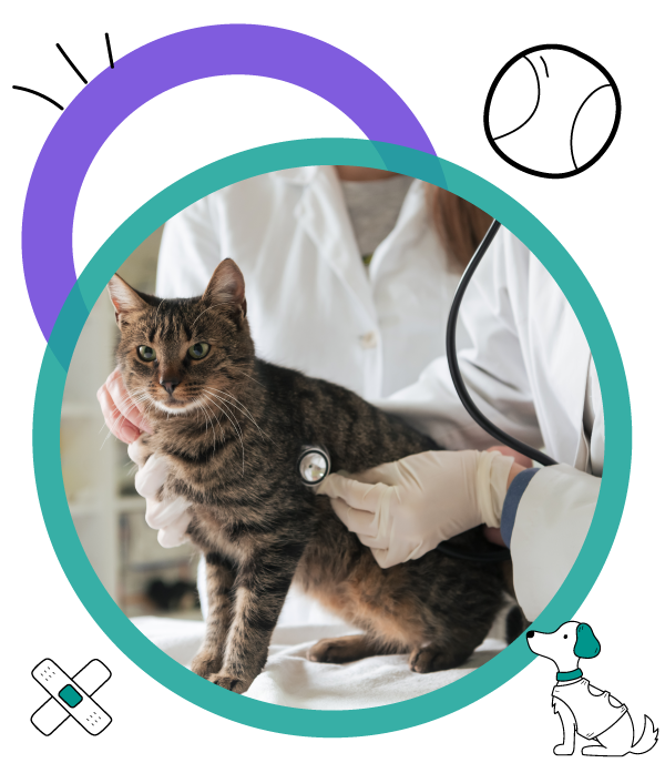 Seguros de hogar y mascotas_web PR